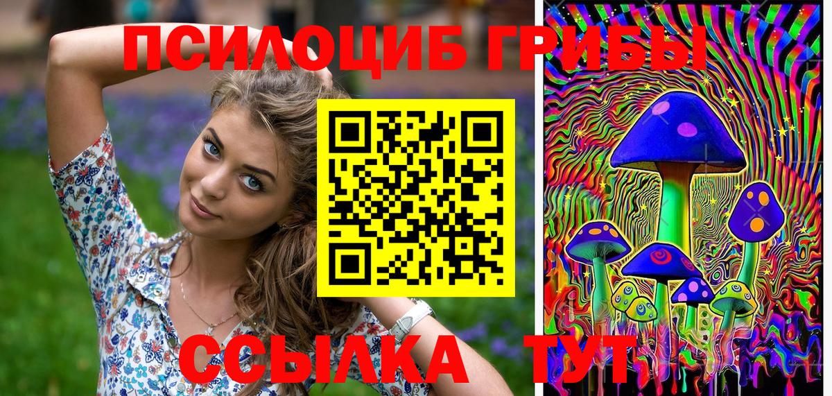Галлюциногенные грибы прущие грибы  Галлюциногенные грибы мицелий  Вход с VPN  Фурманов 